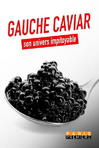 Gauche caviar, son univers impitoyable (2022)