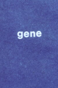 Gene (1977)