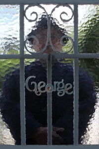 George (2016)