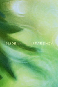 Glide of Transparency (2016)