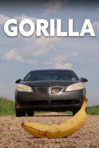 GORILLA (2021)