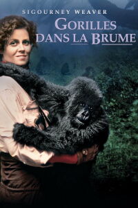 Gorilles dans la Brume (1988)