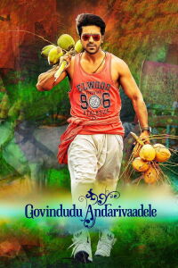 Govindudu Andan Vaadele (2014)
