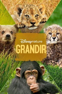 Grandir (2016)