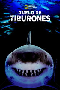 Great Shark Chow Down (2019)