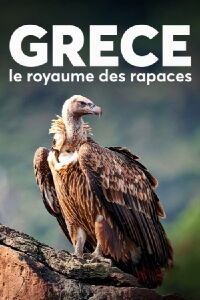 Grèce, le royaume des rapaces (2024)