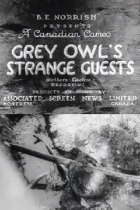 Grey Owl's Strange Guests (1934)
