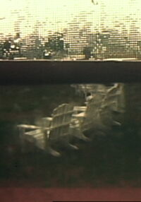 Group VIII: Hidden Tracings/Exposed Fragrances (1980)