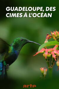 Guadeloupe, from Summits to Ocean (2019)