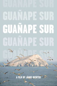 Guañape sur (2011)