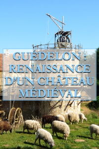 Guédelon, Renaissance d'un château médiéval (2015)