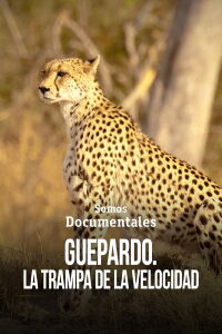 Guepardo. La trampa de la velocidad (2010)