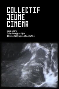Gulls Don’t Fly On Light (1979)