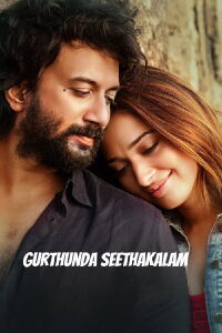 Gurthunda Seethakalam (2022)