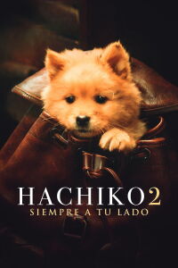 Hachiko (2023)
