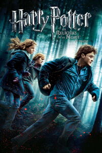 Harry Potter et les reliques de la mort : 1 ère partie (2010)