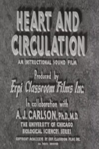 Heart and Circulation (1937)