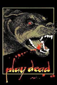 Hechizos diabólicos (1983)