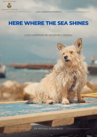 Here where the sea shines (2025)