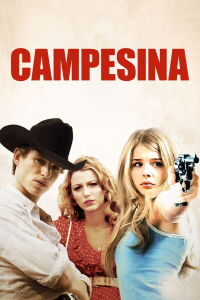 Hick (2012)