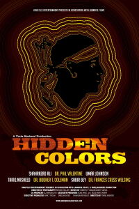Hidden Colors (2011)