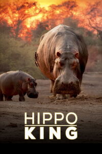 Hippo King (2022)