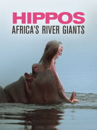Hippopotames les architectes de l'Okavango (2019)