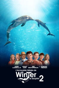 Histoire de dauphin 2 (2014)
