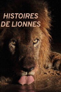 Histoires de lionnes (2020)
