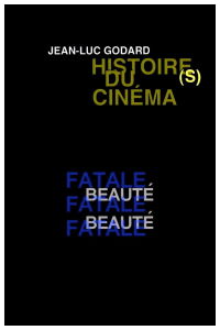 Histoire(s) du Cinéma 2b: Deadly Beauty (2006)