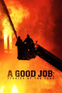 Historias Del Departamento De Bomberos De NY (2014)