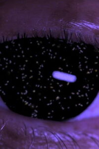 Holobiont (2018)