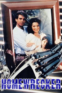 Homewrecker (1992)