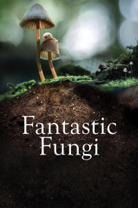Hongos fantásticos (2019)