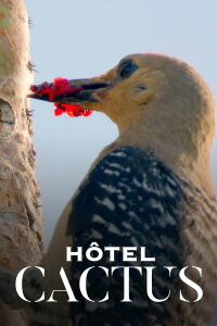 Hôtel Cactus (2023)