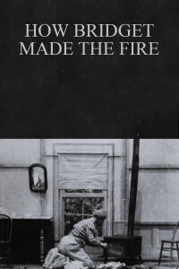 How Bridget Made the Fire (1900)