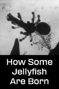 How Some Jellyfish Are Born (1960)