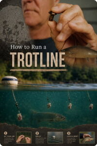 How to Run a Trotline (2024)