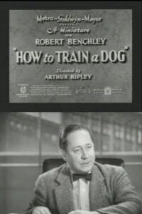 How to Train a Dog (1936)