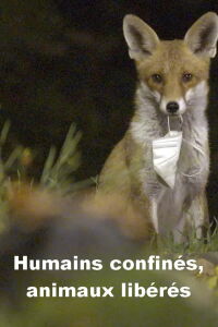 Humains confinés, animaux libérés (2023)