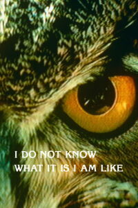 I Do Not Know What It Is I Am Like (1986)