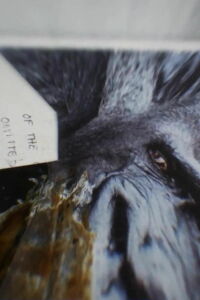 I Remember (depth of flatten cruelty) (2024)