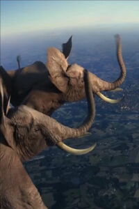 Idents France 3 (2014)