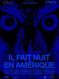 Il fait nuit en Amérique (2024)