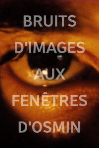 Image Noise (Osmin's Windows) (1984)