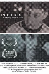 In Pieces (2019)