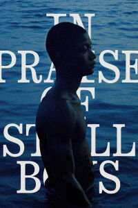 In Praise of Still Boys (2020)