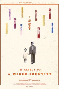 In Search of a Mixed Identity (2024)