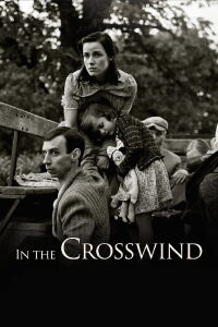 In the Crosswind (2014)