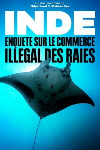 Inde - Enquête sur le commerce illégal des raies (2020)